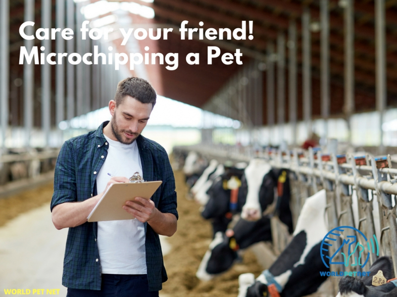 Enkel og effektiv metode til kæledyrsregistrering af racen